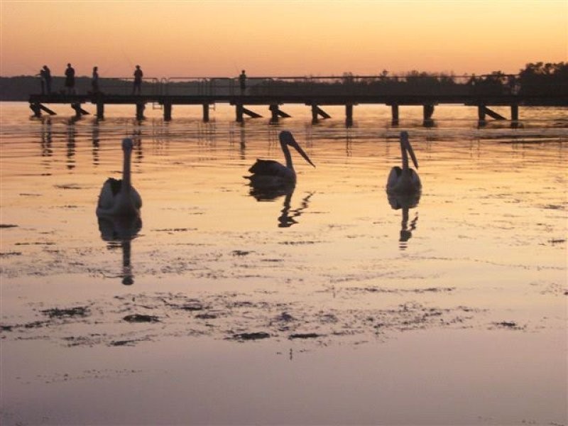 14 Island Point Road, St Georges Basin NSW 2540