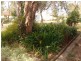 32 Albatross Road, Nowra NSW 2541