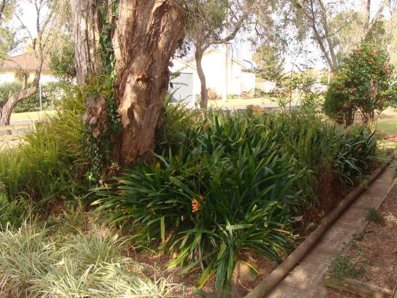 32 Albatross Road, Nowra NSW 2541