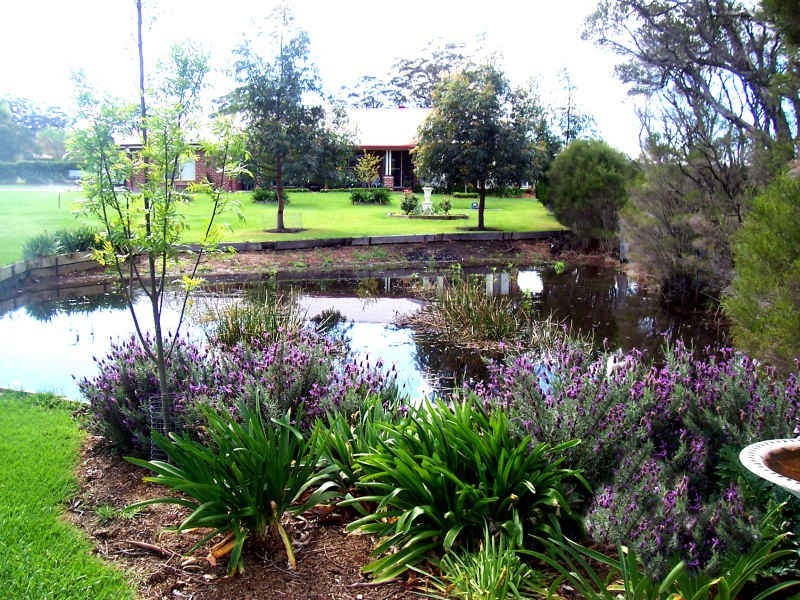 D2631 Princes Highway, Wandandian NSW 2540