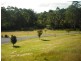 Lot 4 Princes Highway, Tomerong NSW 2540