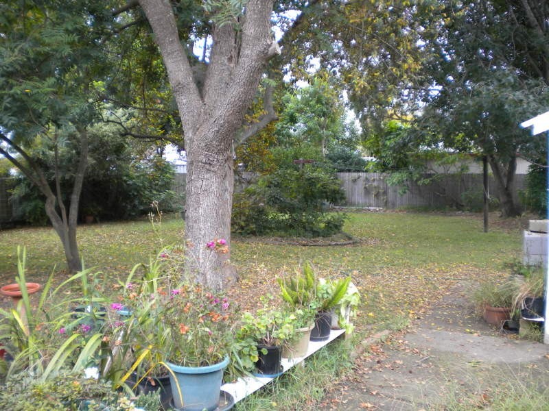 8 Hollands Road, Nowra NSW 2541