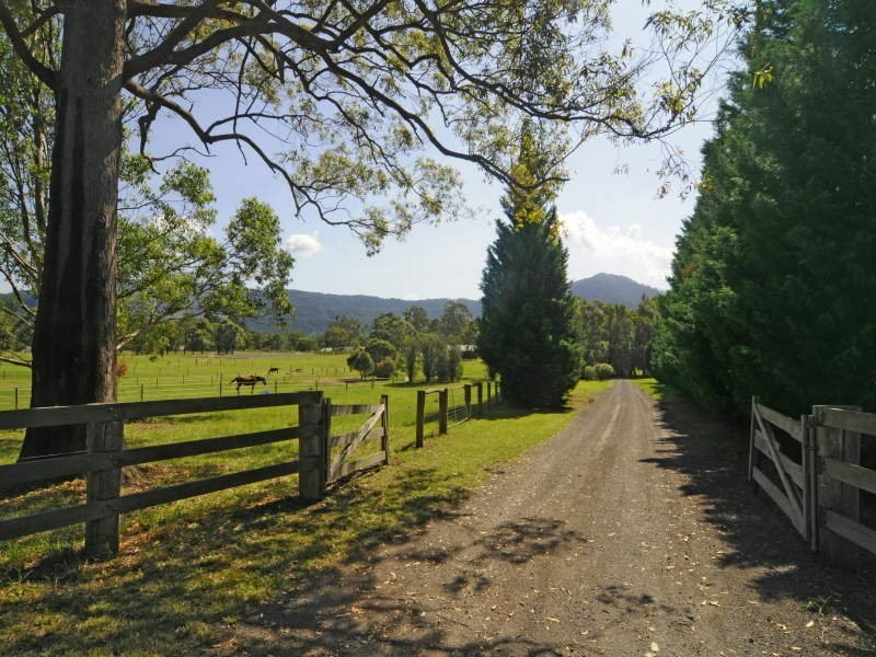 540 Illaroo Road, Bangalee NSW 2541