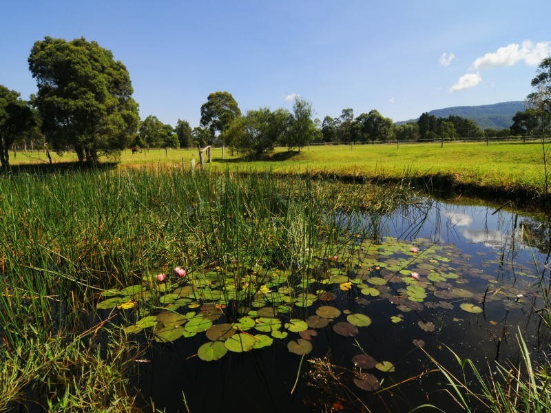 540 Illaroo Road, Bangalee NSW 2541