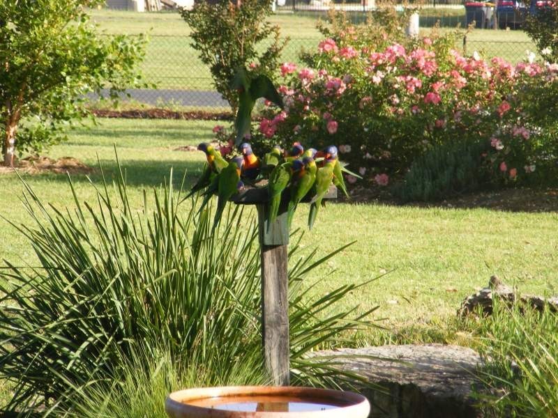 58 Wyanga Crescent, Worrigee NSW 2540