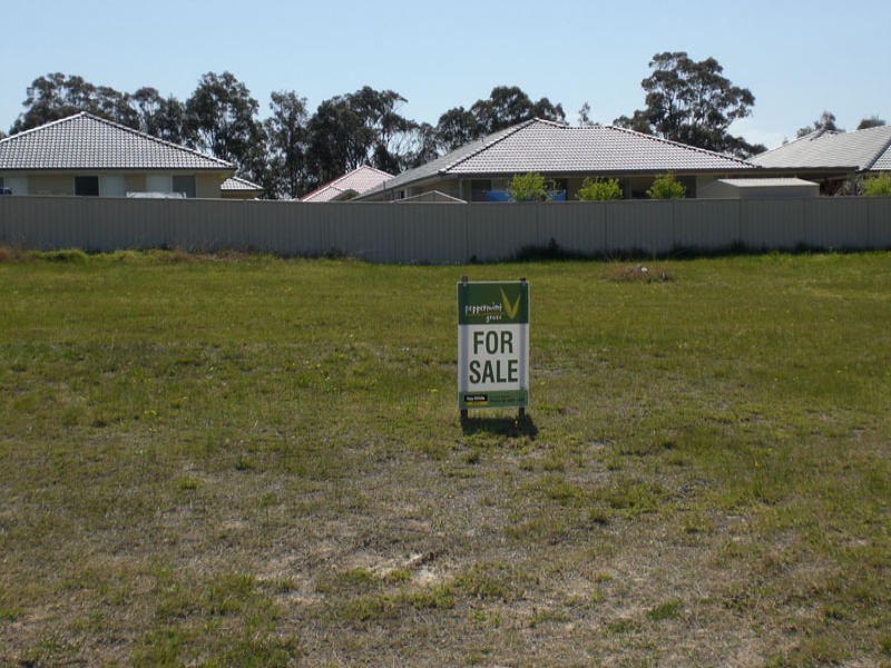 Lot 313 Bluewattle Road, Worrigee NSW 2540