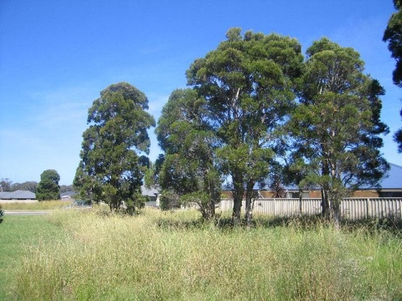 12 Lacebark Grove, Worrigee NSW 2540