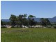 Lot 460 460/ Riveroak Road, Worrigee NSW 2540