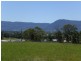 Lot 453 453/ Blueberry Street, Worrigee NSW 2540