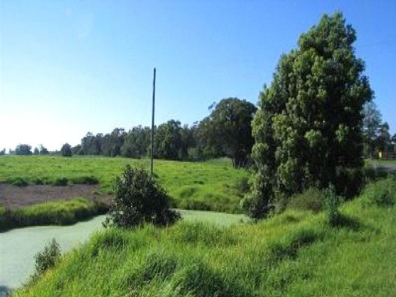Lot 1  Millbank Road, Terara NSW 2540