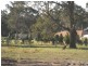 Lot 2 Kallata Grove, Worrigee NSW 2540