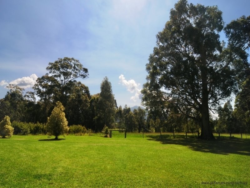 540 Illaroo Road, Bangalee NSW 2541