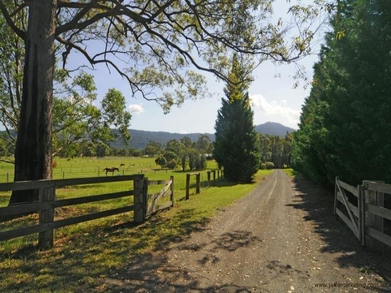 540 Illaroo Road, Bangalee NSW 2541