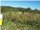 6 Arafura Crescent, Yeppoon QLD 4703
