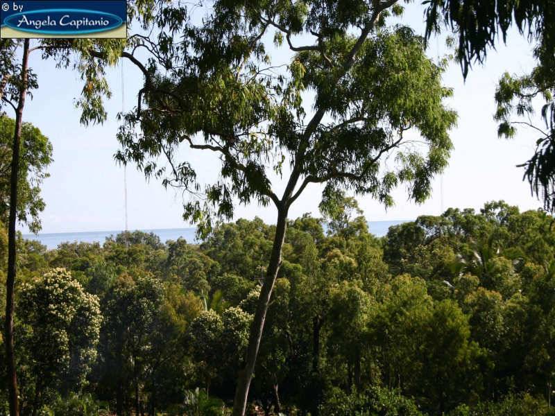 30 Latreille Terrace, Brinsmead QLD 4870