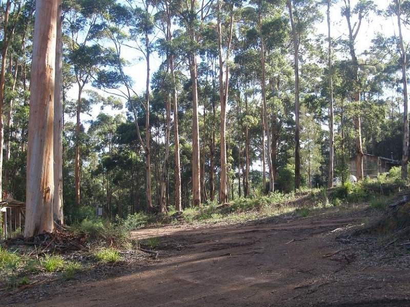 168 Mount Shadforth Road, Denmark WA 6333