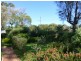 11 Berridge Street, Denmark WA 6333