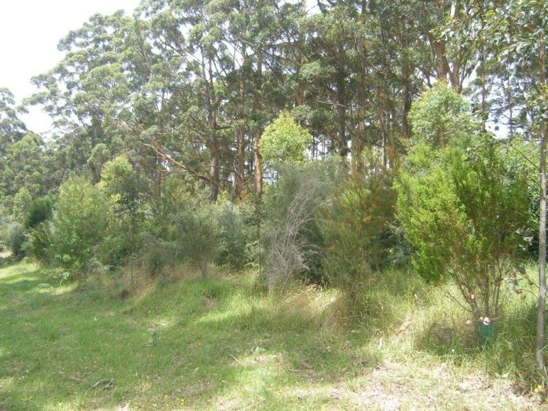 78 Cussons Road, Denmark WA 6333