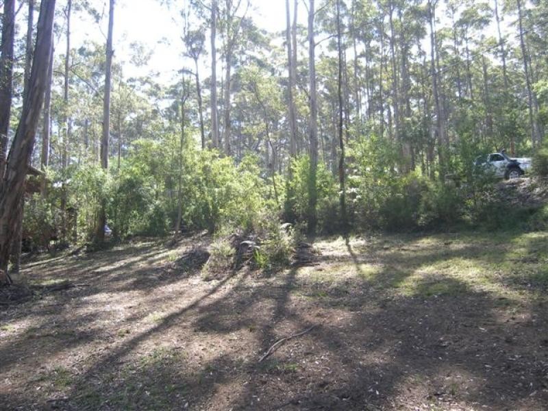 11 Adams Rd, Denmark WA 6333