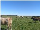 Kingdon Rd, Denmark WA 6333