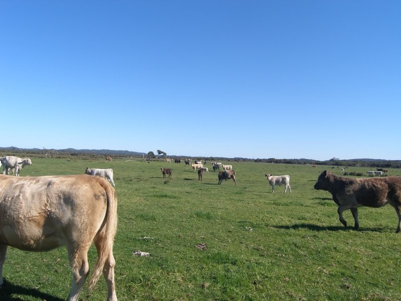 Kingdon Rd, Denmark WA 6333