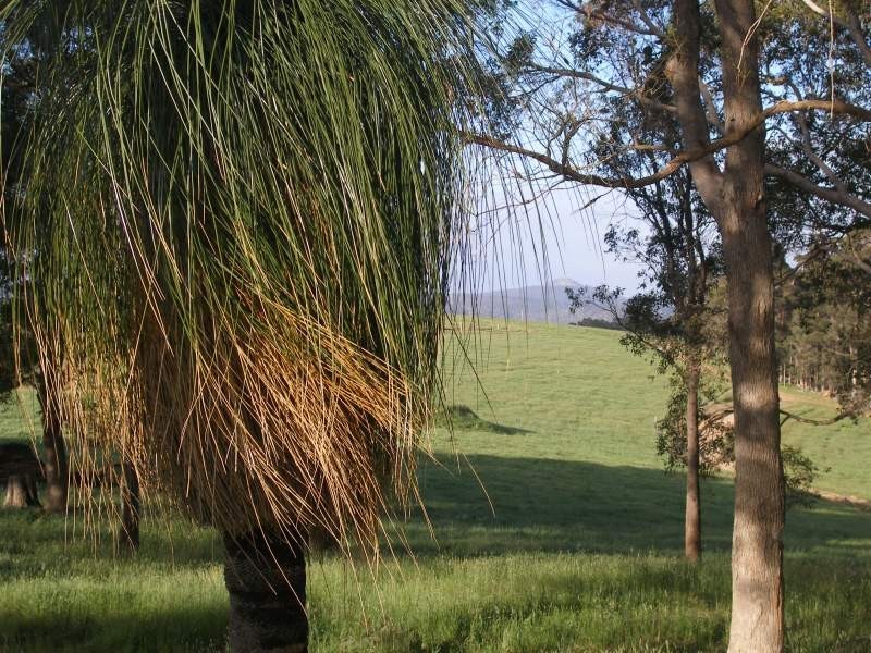 locn 10237 North Walpole Road, Walpole WA 6398