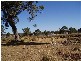 L2244 Muirs Highway, Perillup WA 6324