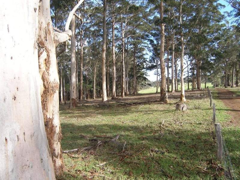 Tindale Road, Denmark WA 6333