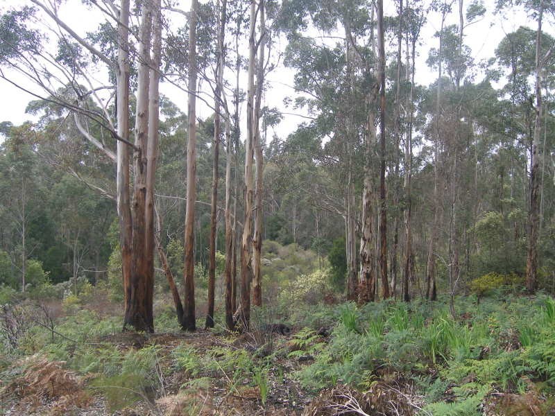 455 Styx River Road, Kordabup WA 6333