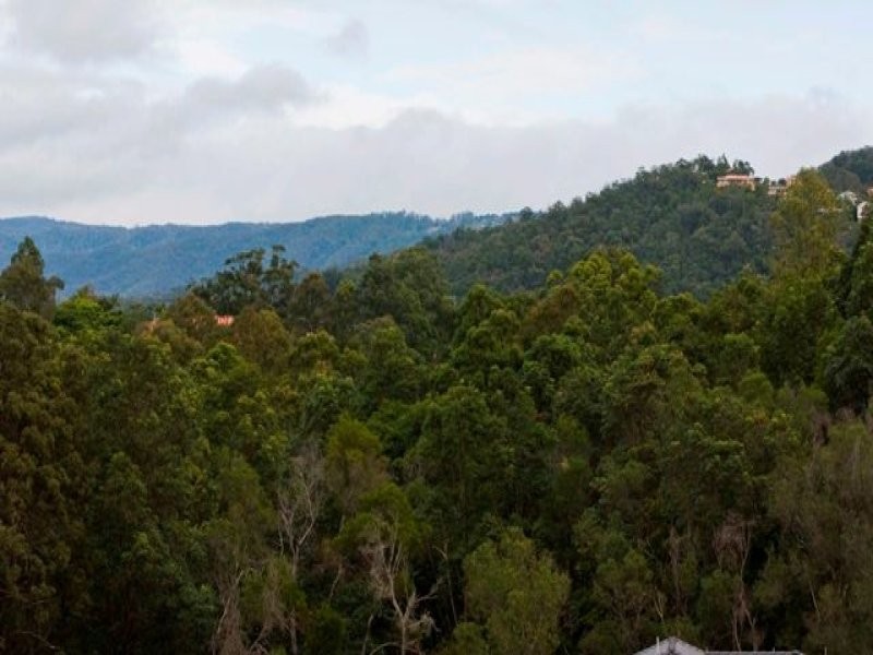 12 and 14 Ensor Street, Mudgeeraba QLD 4213