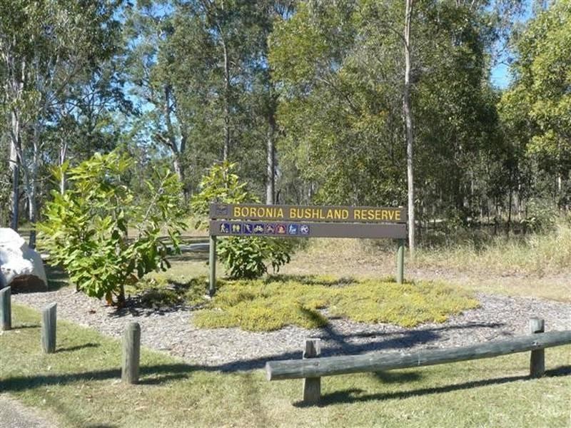 19 Conlan Street, Boronia Heights QLD 4124