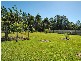 14 Wattlebird Pl, Landsborough QLD 4550