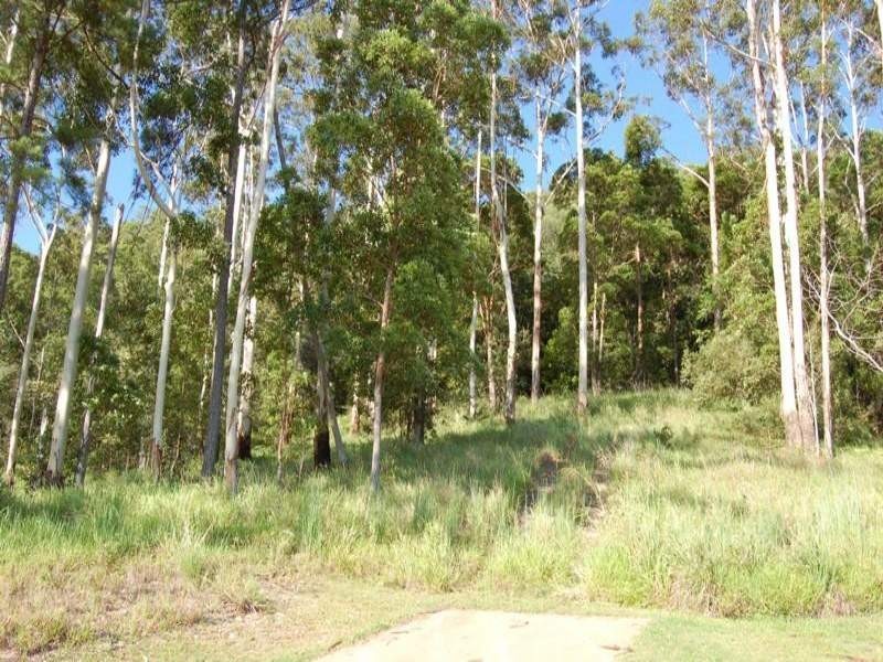 14 Warrener Place, Maroochy River QLD 4561