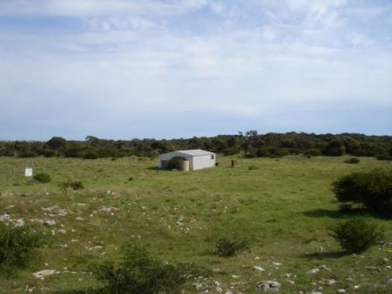 11 Warner Street, Wangary SA 5607