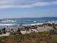 Port Neill SA 5604