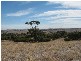 Lot 3 Panoramic Drive, Port Lincoln SA 5606
