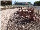 9 Tacoma Street, Port Lincoln SA 5606