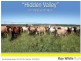 Riverleigh QLD 4626
