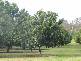 GYMPIE MACA GYMPIE MACADAMIAS, Gympie QLD 4570