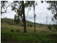 Tansey QLD 4601