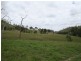 Tansey QLD 4601