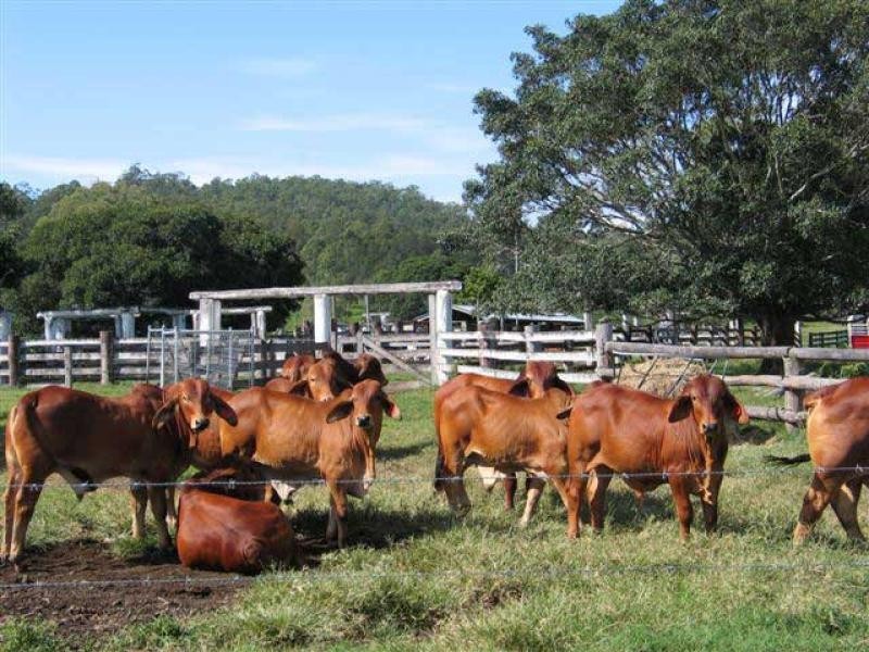 Sexton QLD 4570