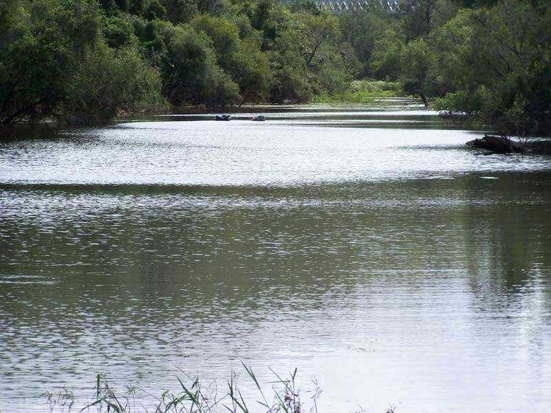 Sexton QLD 4570