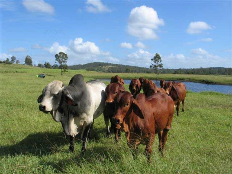 Sexton QLD 4570