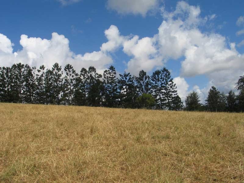 Lower Wonga QLD 4570
