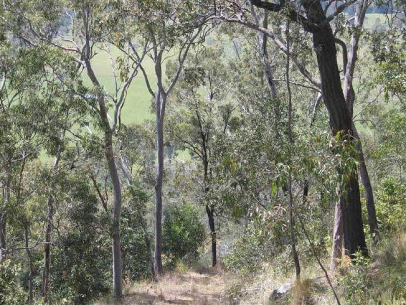 Lower Wonga QLD 4570