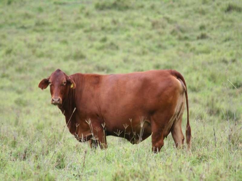 Glen Echo QLD 4570