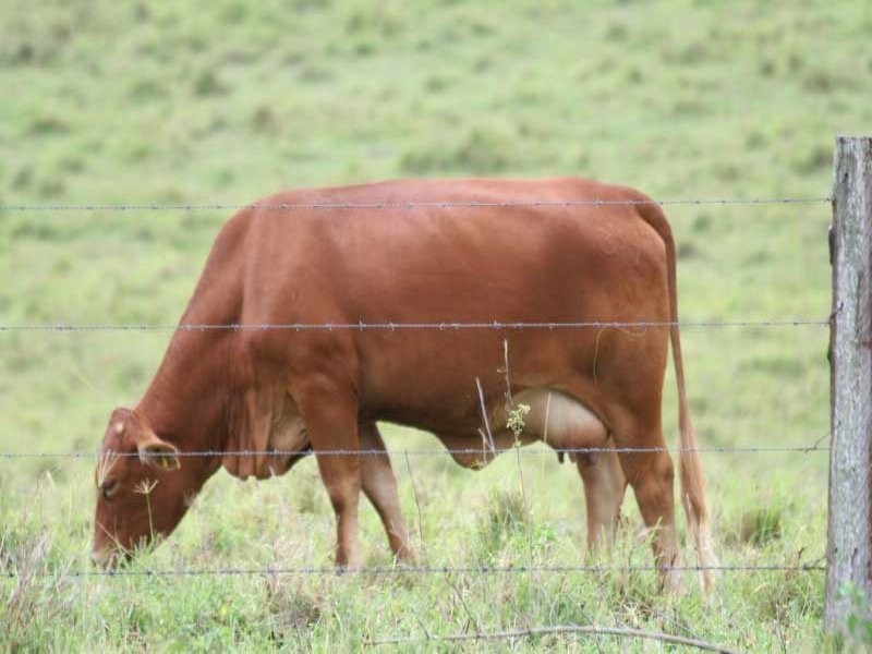 Glen Echo QLD 4570
