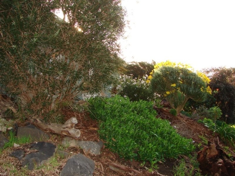 10 Harpoon Avenue, Encounter Bay SA 5211