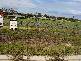 Lot 8 Jasmin Drive, Victor Harbor SA 5211